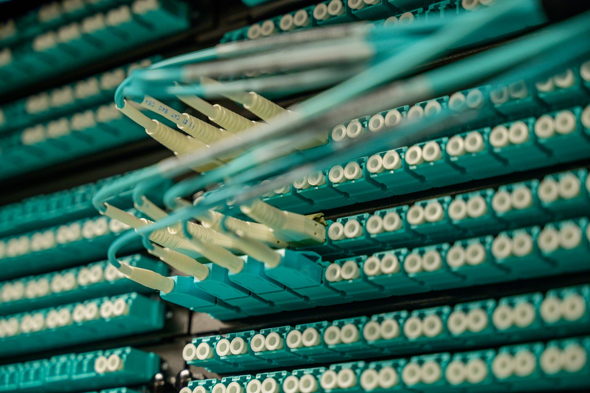 Close-up of fibre optic cables used in community broadband networks